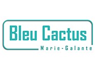 Bleu cactus
