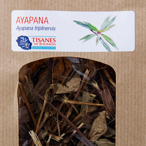 Tisane digestive naturelle - Ayapana de la Réunion - Tisanes de Bourbon