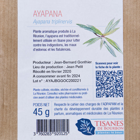 Tisane digestive naturelle - Ayapana de la Réunion - Tisanes de Bourbon