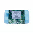 savon naturel menthe glaciale