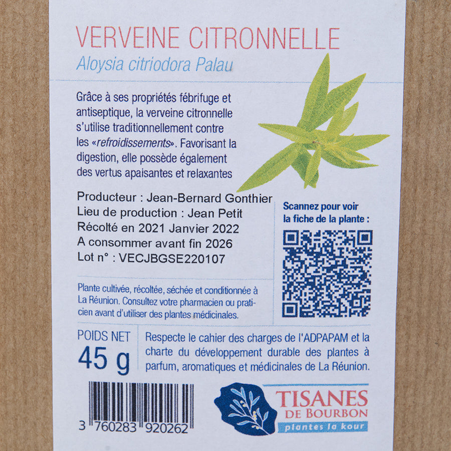 Verveine Citronelle - Aloysia citriodora - Plante aromatique